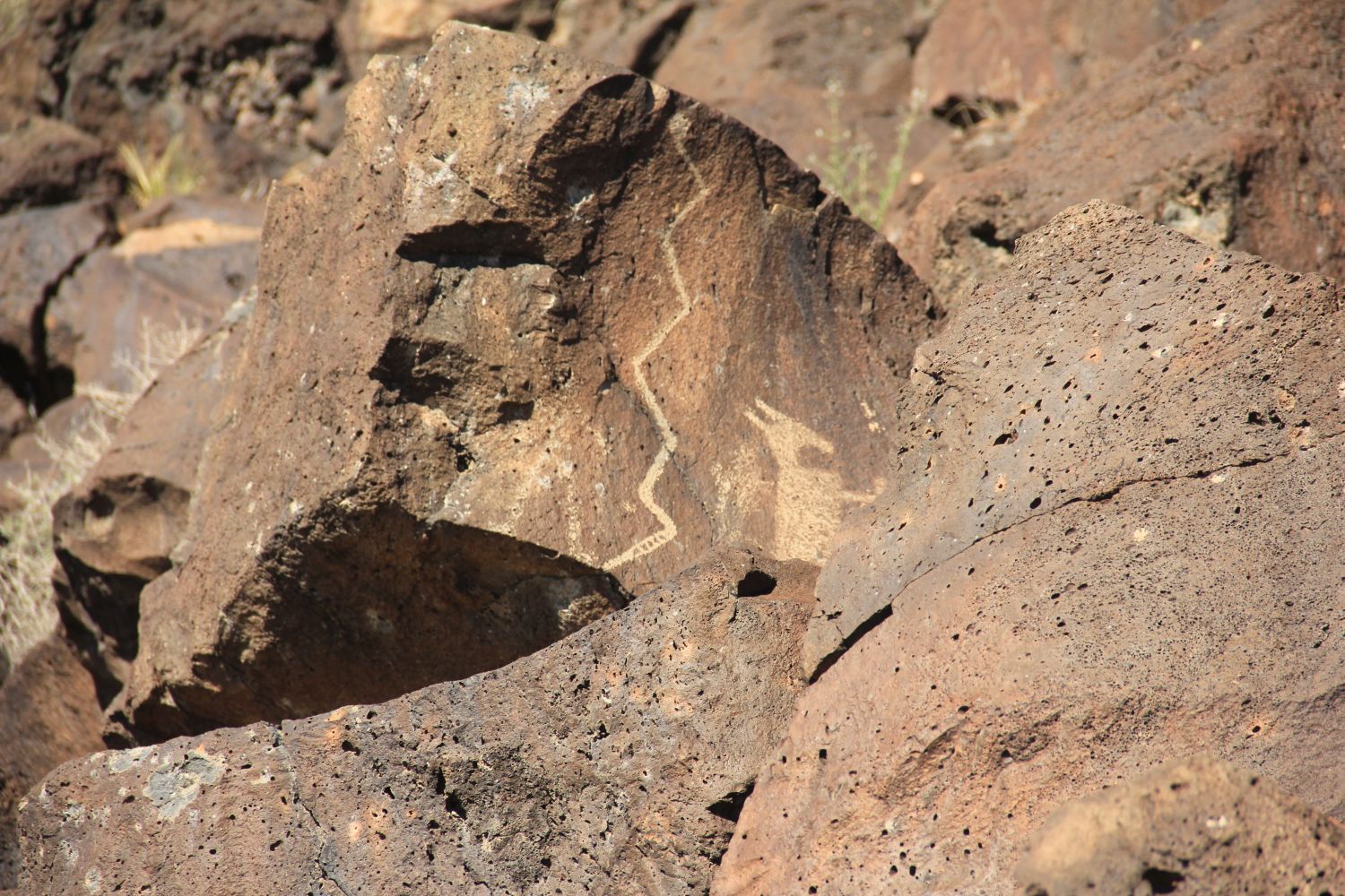 Petroglyph National Monument 